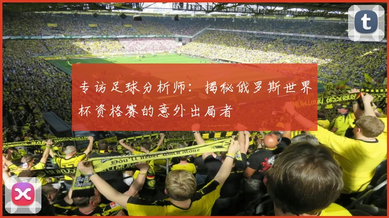 专访足球分析师:揭秘俄罗斯世界杯资格赛的意外出局者