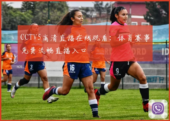 CCTV5高清直播在线观看：体育赛事免费流畅直播入口