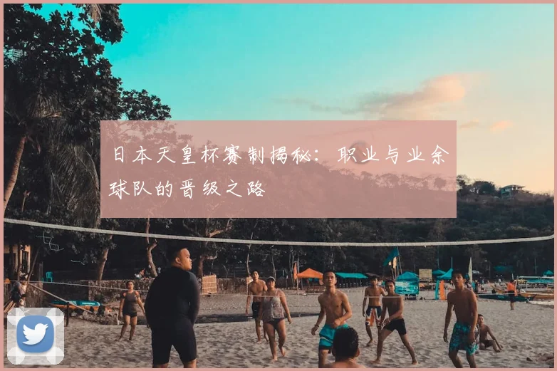 日本天皇杯赛制揭秘：职业与业余球队的晋级之路