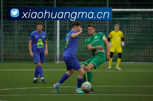 App Interface Preview